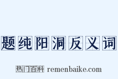 题纯阳洞反义词是什么意思的图片